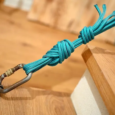 Alpini *