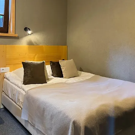 Apartment Alpini *